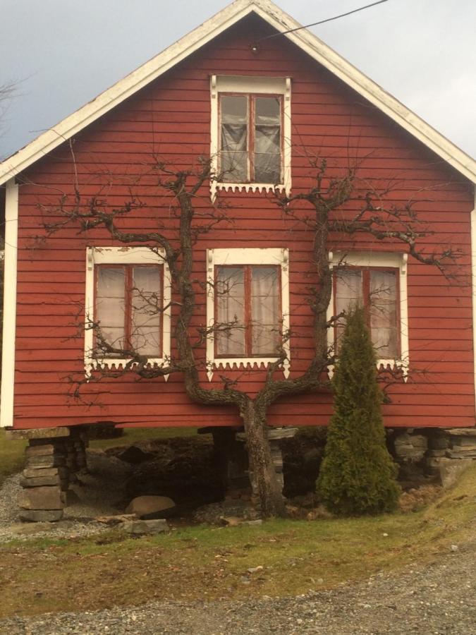Line Pa Hauane1 Bed & Breakfast Volda Exterior foto