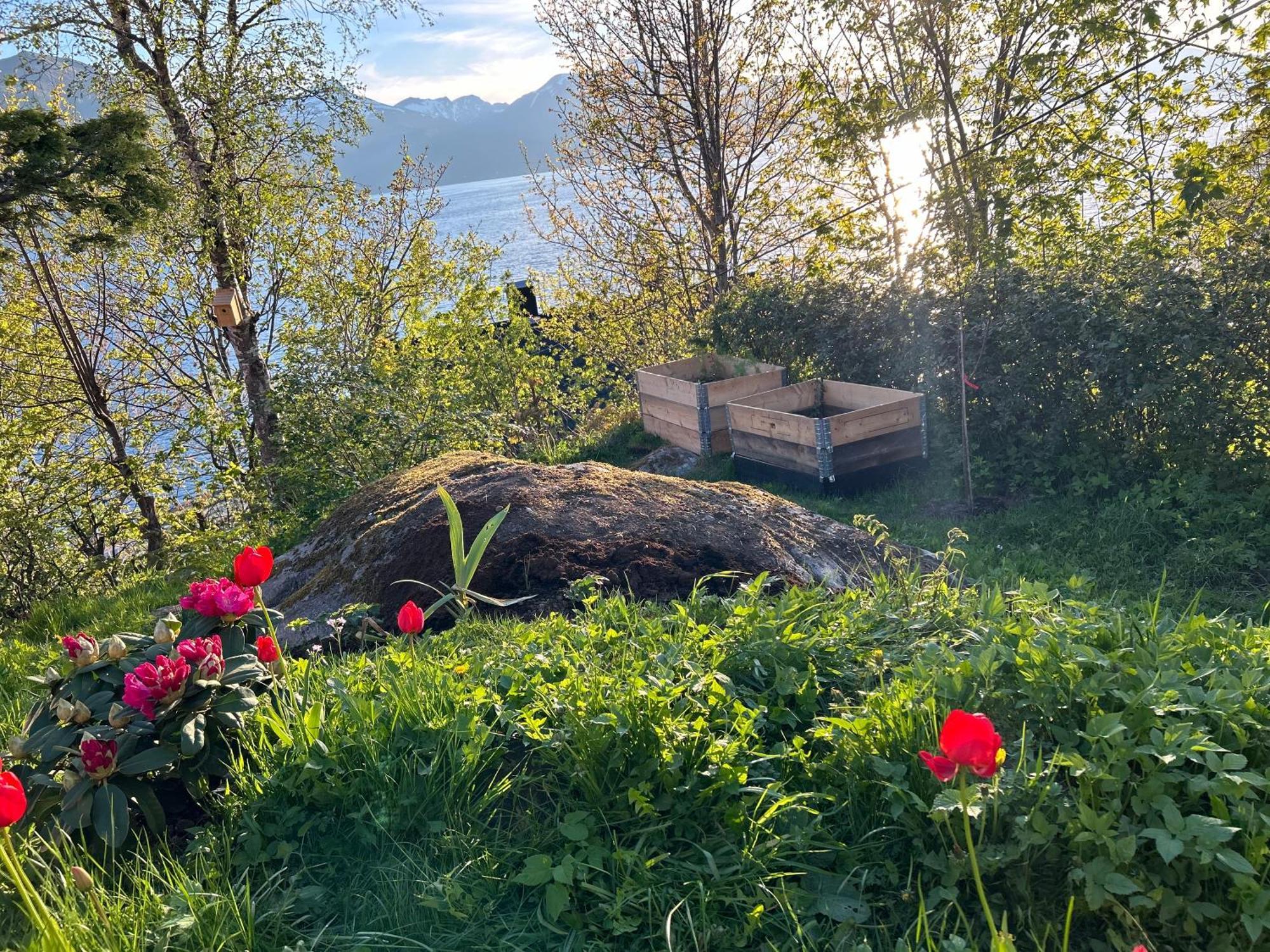 Line Pa Hauane1 Bed & Breakfast Volda Exterior foto